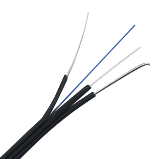 Fibre à la maison optique Duel 1 2 coeurs FTTH câble d'interface à fibre optique plat monomode